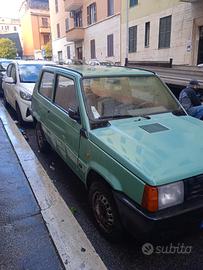 FIAT Panda 1ª serie 1100 i.e. cat Young