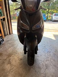 Sym joymax 300z+