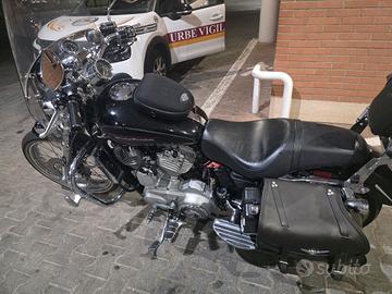 Harley 883