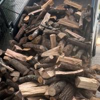 Legna di leccio corbezzolo e quercia secca