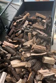 Legna di leccio corbezzolo e quercia secca