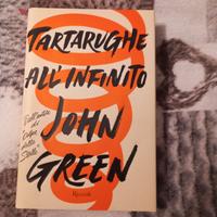 tartarughe all'infinito 