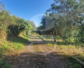 Terreno Agricolo Nettuno [Cod. rif V. RagusaVCG] (