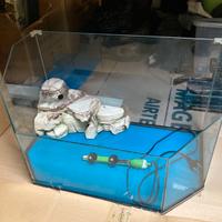 Acquario per tartarughe