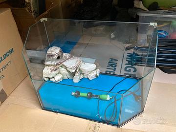 Acquario per tartarughe