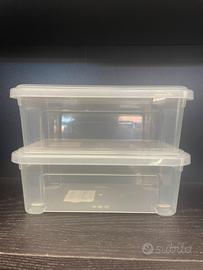 Contenitori plastica trasparente Tontarelli