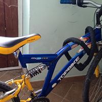 Bicicletta  26 pollici