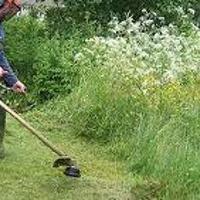 Manutenzioni e Giardinaggio