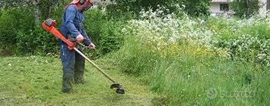 Manutenzioni e Giardinaggio