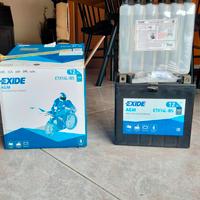 Batteria moto Exide ETX14L-BS