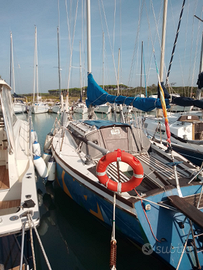 Erbavoglio per i veri Marinai anche in erba