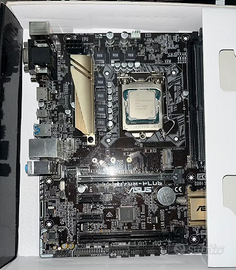2 Bundle Scheda madre  e cpu