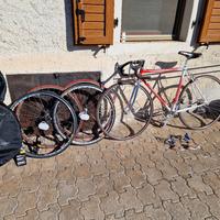 colnago junior  1980