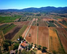 Terreno Agricolo