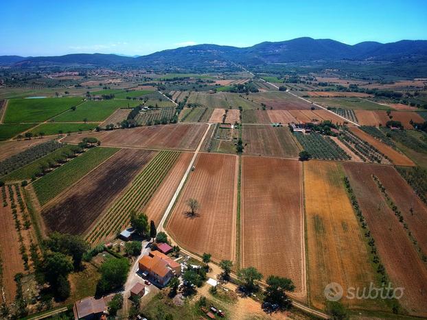 Terreno Agricolo