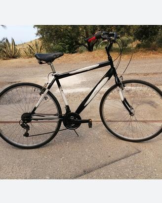 Bici da trekking cerchi da 28 