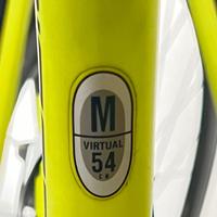 Bici da corsa agonistica