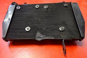 RADIATORE DUCATI HYPERMOTARD 821