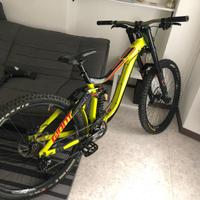 Giant Glory DH