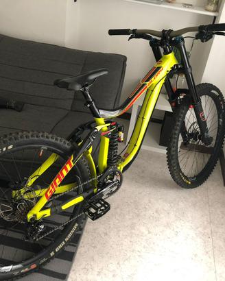 Giant Glory DH