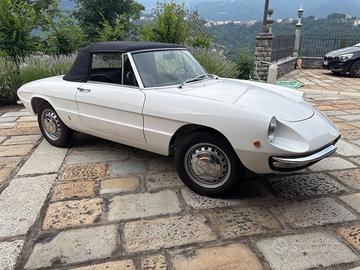 Alfa Romeo Spider 1300 Osso di seppia