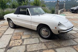 Alfa Romeo Spider 1300 Osso di seppia