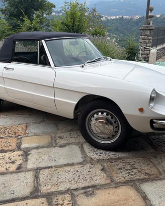 Alfa Romeo Spider 1300 Osso di seppia
