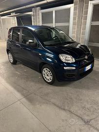 Fiat Panda 3ª serie 1.2 Easy 2019  benzina
