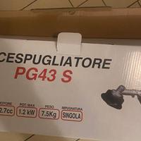 Decespugliatore a scoppio