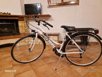 Coppia di bici da passeggio uomo donna