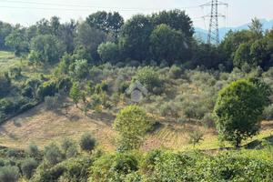 TERRENO A TORRE DE' ROVERI