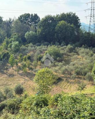 TERRENO A TORRE DE' ROVERI
