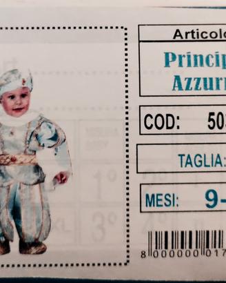 costume carnevale principe azzurro baby