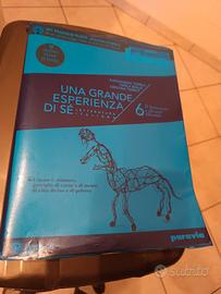 Una grande esperienza di se ' 