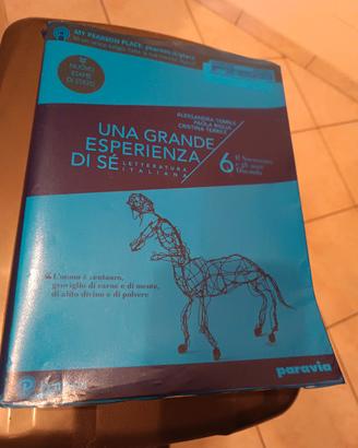 Una grande esperienza di se ' 