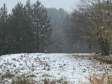 Appartamento disponibile a camigliatello (sila)