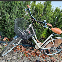 RONDINEpreziosaBICICLETTAcruiserSTILEvintageNUOVA