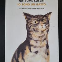 Io sono un gatto