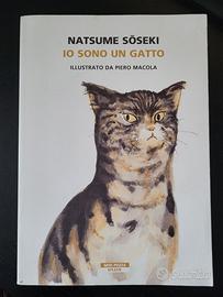 Io sono un gatto
