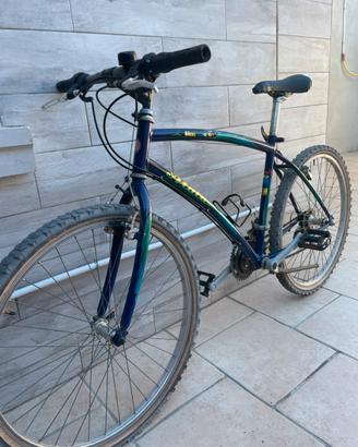 Mtb Atala