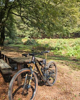E-MTB Orbea Rise sl M10 -2025