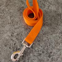 guinzaglio arancione 