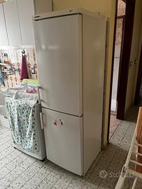 Frigo