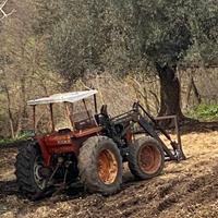 Trattori Agricoli Fiat 780 DT - Fiat 780 DT con ca