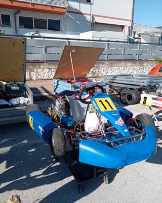 Go kart Tibi kart/Tm