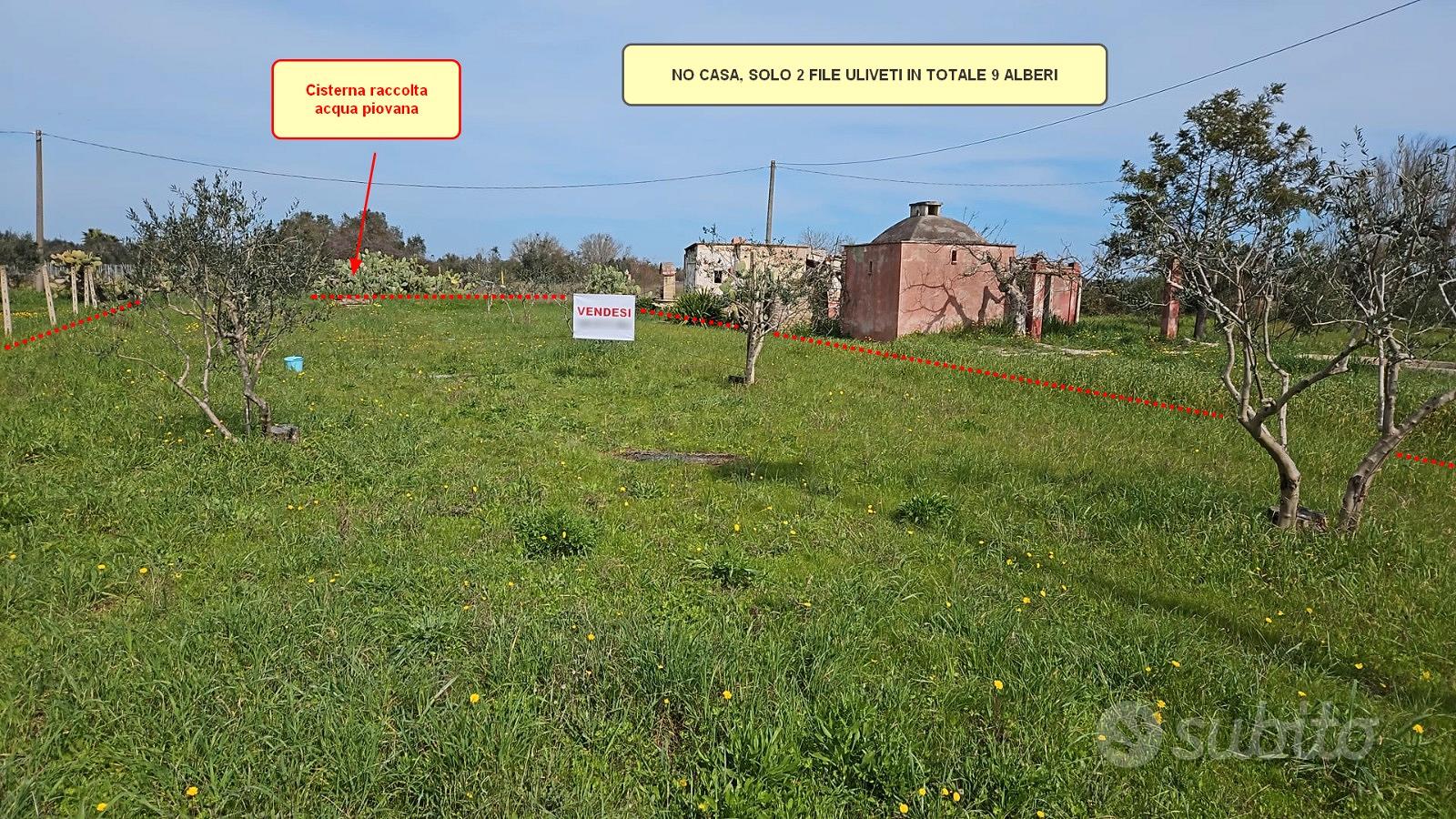 Vendita terreno agricolo - Vista 4