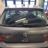 Portellone nudo PEUGEOT 307 del 2006