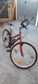 Bicicletta 