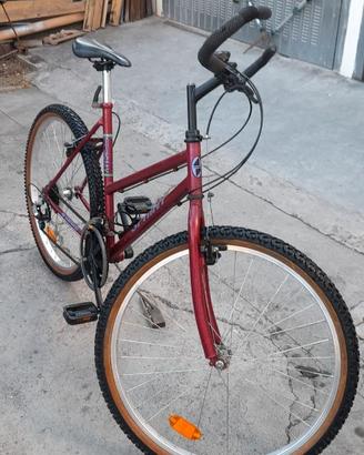 Bicicletta 