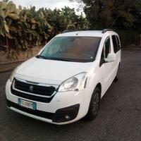 Peugeot Partner Tepee N1
